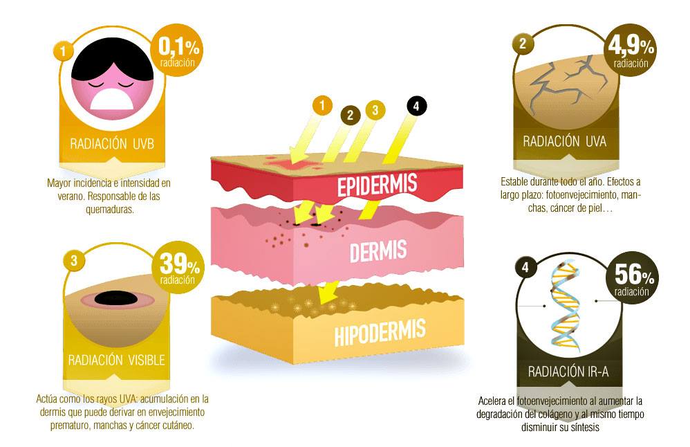 Como afectan los rayos solares sobre las capas de la piel